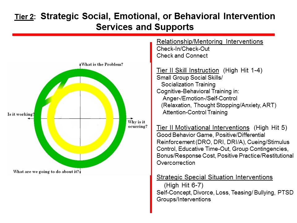 Strategic Social, Emotional, or Behavioral Interventions Services and Supports 