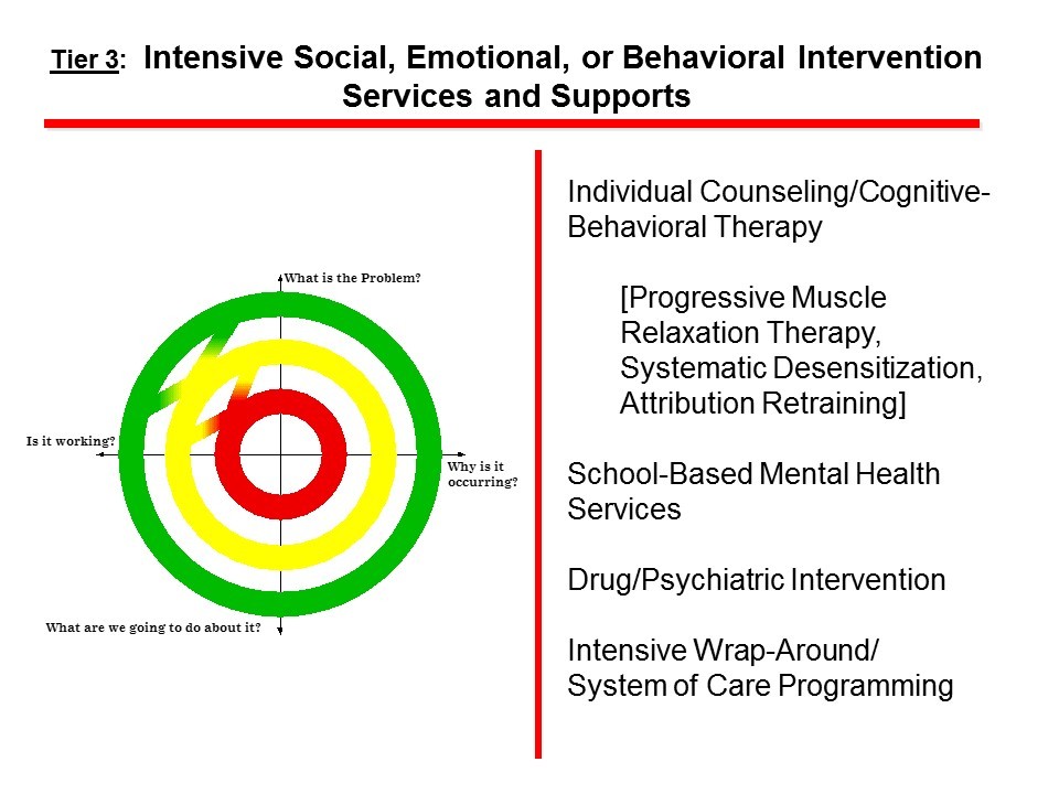 Intensive Social Emotional, or Behavioral Intervention Services and Supports