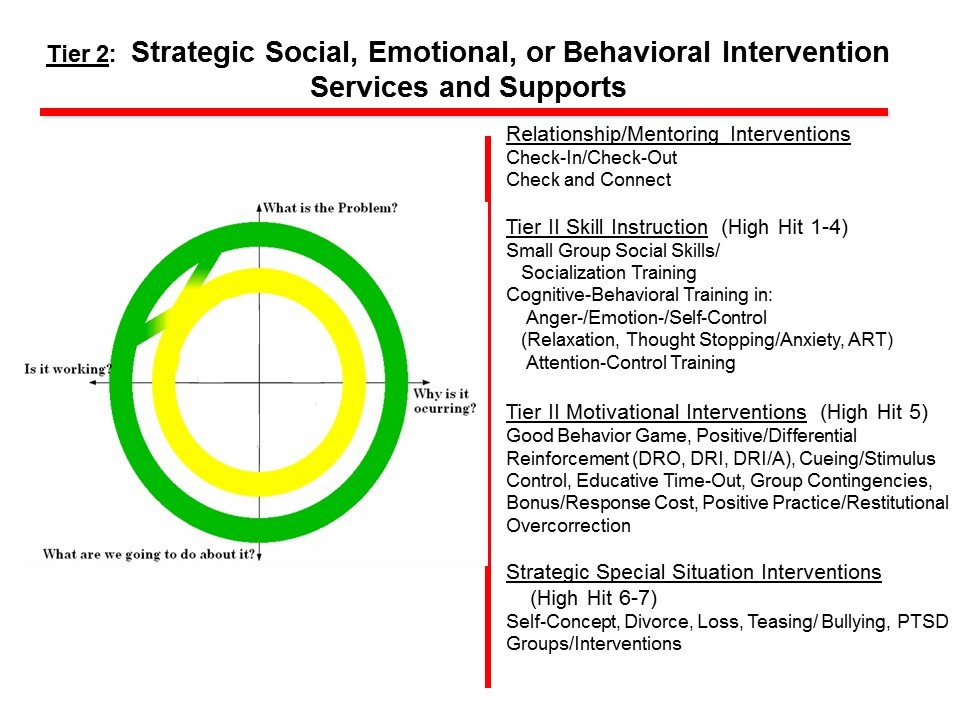 Strategic Social, Emotional, or Behavioral Interventions Services and Supports Strategic Social, Emotional, or Behavioral Interventions Services and Supports